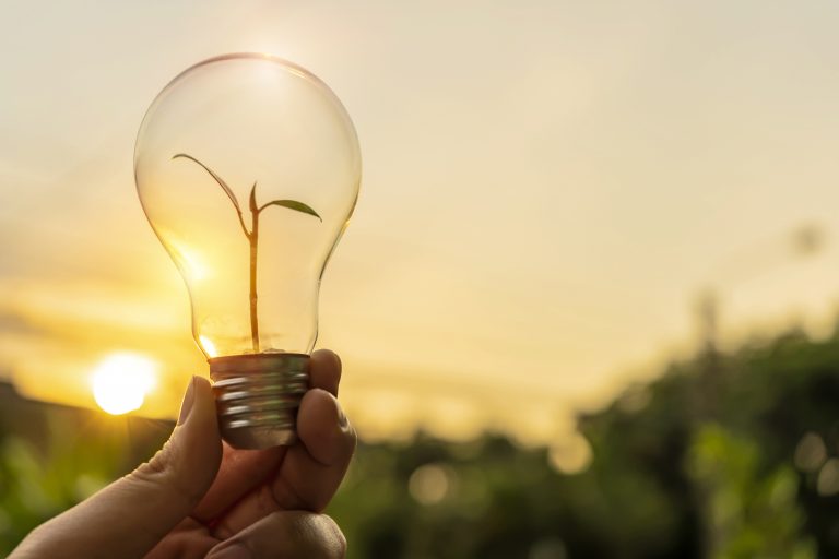 Light Bulb Held up By Hand