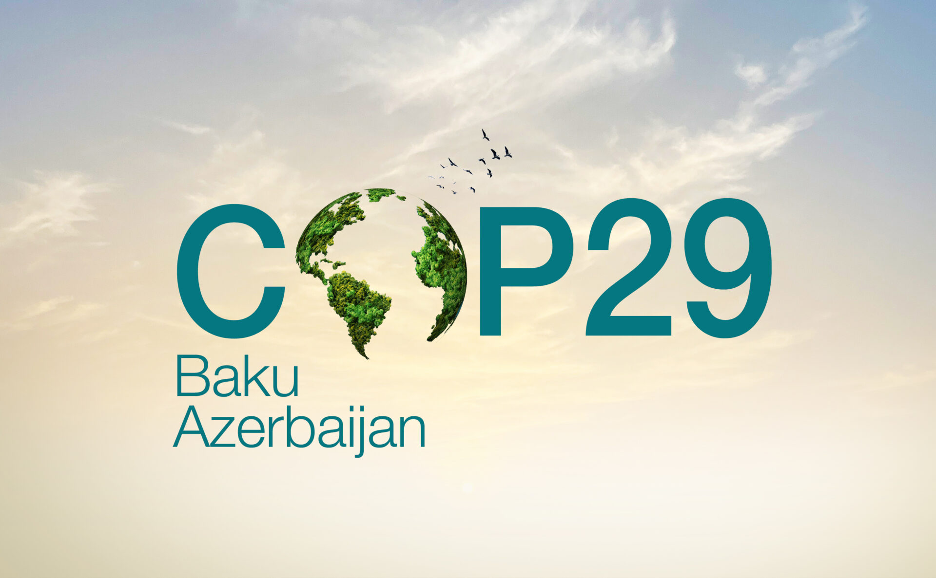 COP29 Summary