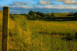 British on-shore wind farms representing Britain bringing energy home because of a reduction in energy imports