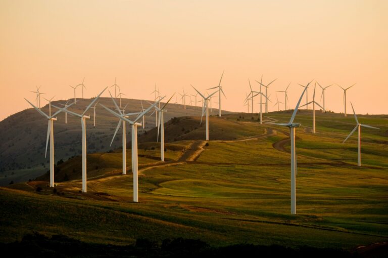 Wind turbines on a green hillside at sunset representing renewable energy