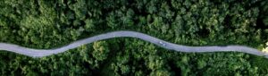 aerial view of car on road winding through trees representing innovation zero